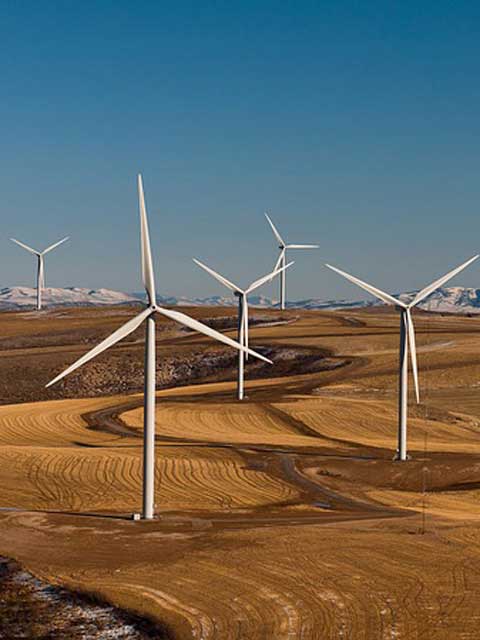 轰炸手机号信息软件免费版